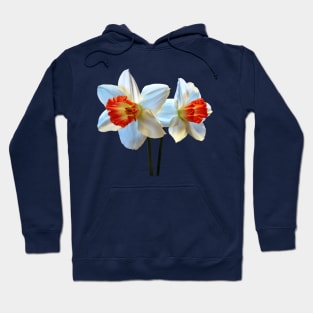 Daffodils - Two White And Orange Daffodils Hoodie